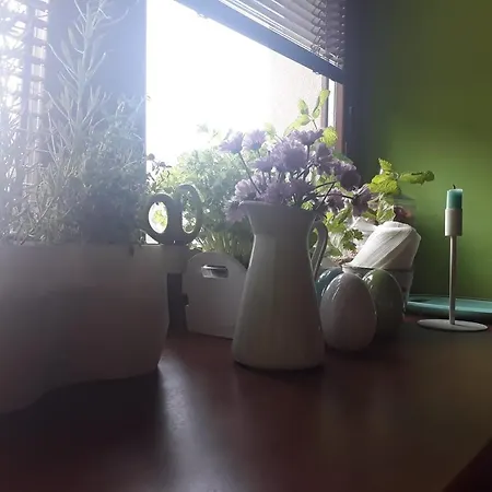 Domek letniskowy Na Rozbresku Rokytnice nad Jizerou